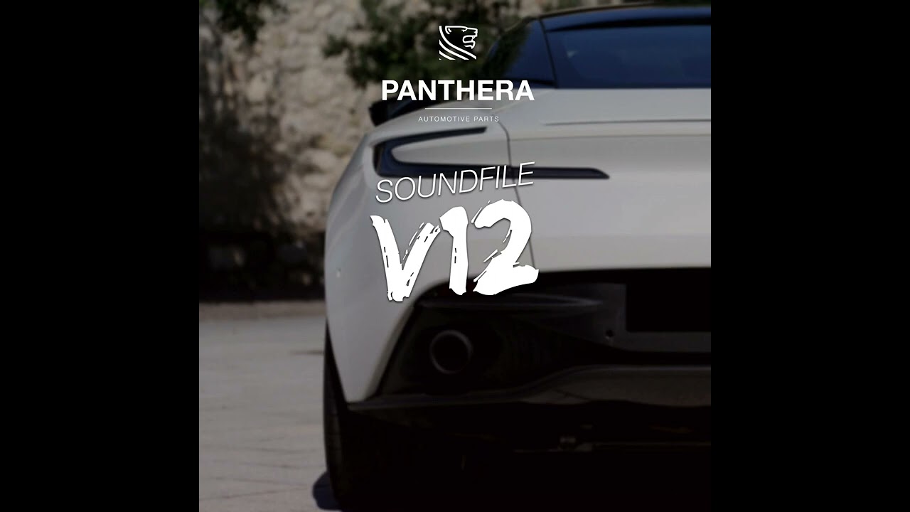 PANTHERA LEO 6 0 ACTIVE SOUND   THE NEW SOUNDFILES