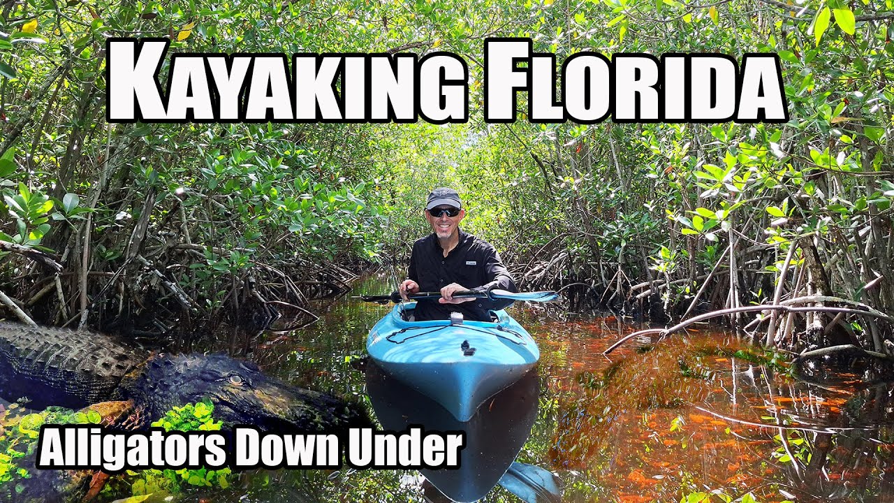Kayaking Florida: Alligators Down Under