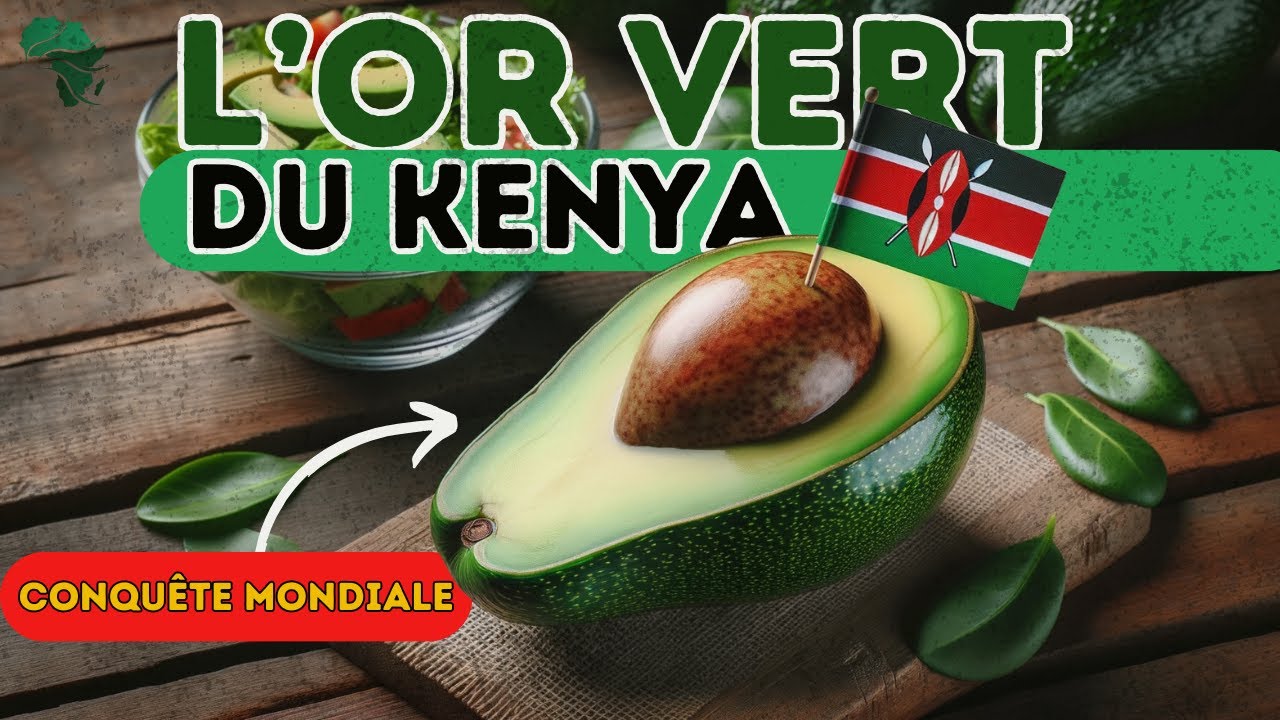 🇰🇪 Les Avocats du Kenya : Révolution Silencieuse dans l'Agriculture