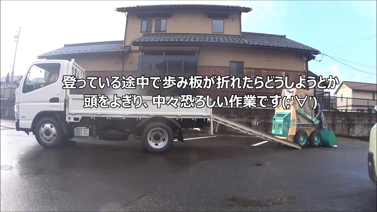 ボブキャット君が嫁ぎました( ･ิω･ิ)ｇ