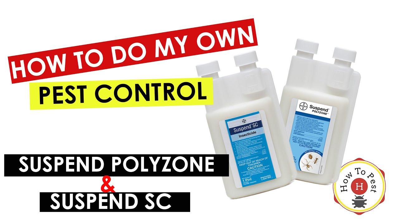 Suspend Polyzone vs Suspend SC | Insecticide Comparison & DIY Pest Control Guide