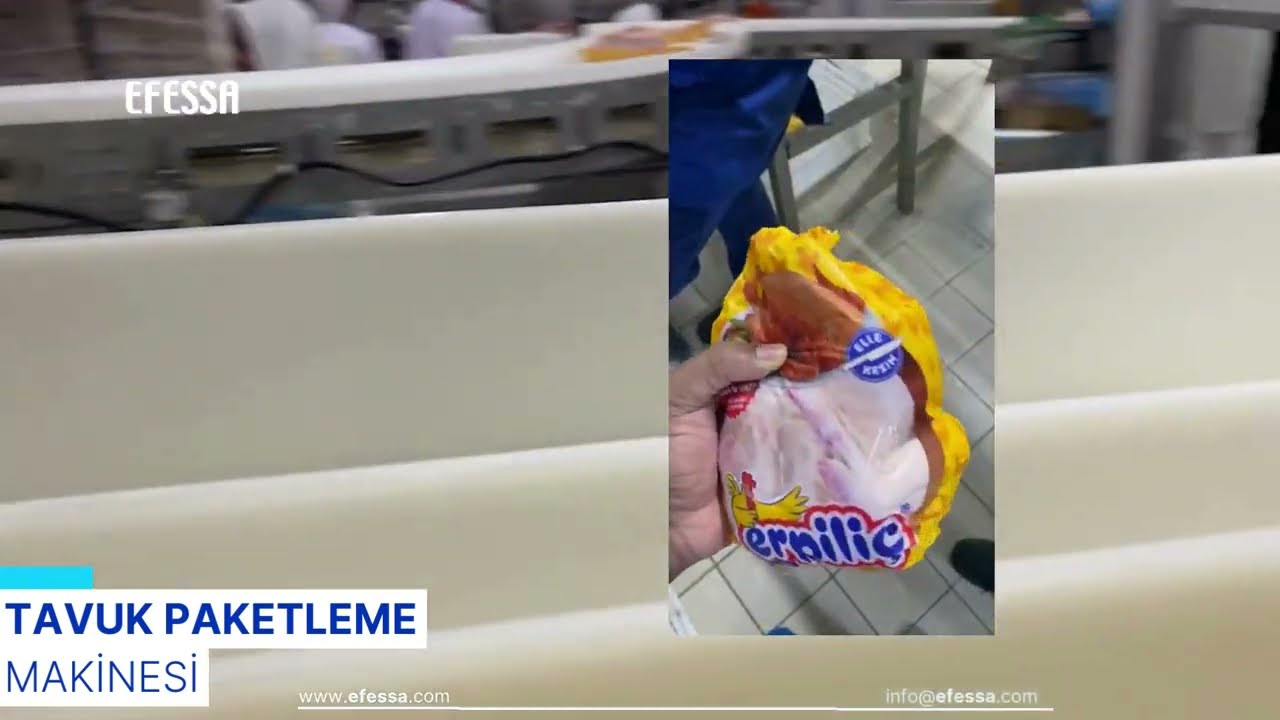 Bütün Tavuk Paketleme Makinesi | Whole Chicken Packaging Machine