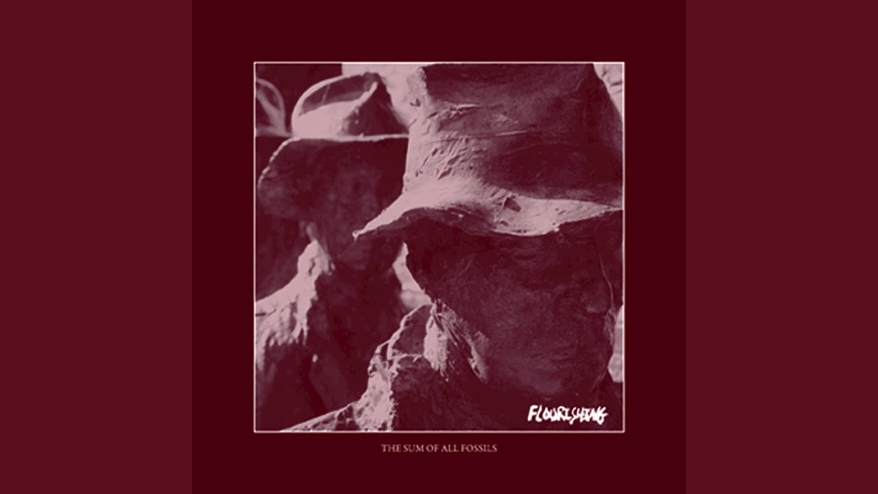 Fossil Record