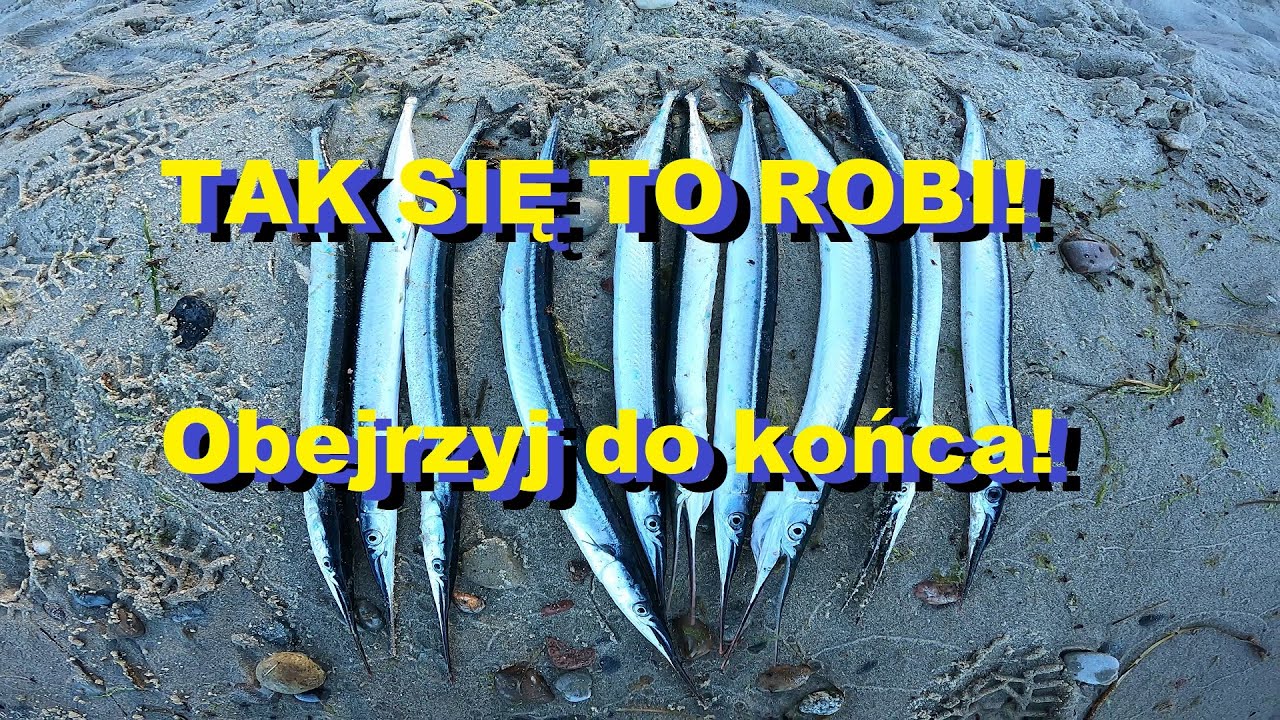 Komplet 10 belon w 3 godziny - Dzień Konia 4K GoPro10