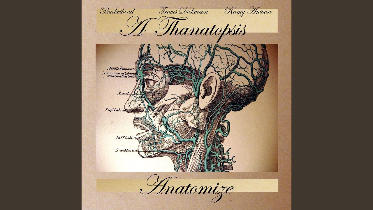 Vitreous Humor (feat. Buckethead & Travis Dickerson)