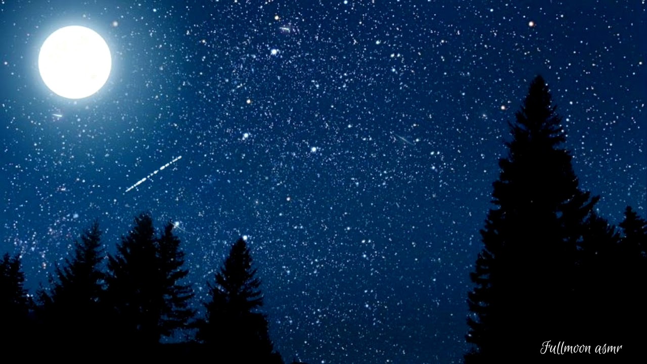 1 ora di dolce relax sotto il cielo stellato con il canto degli uccelli