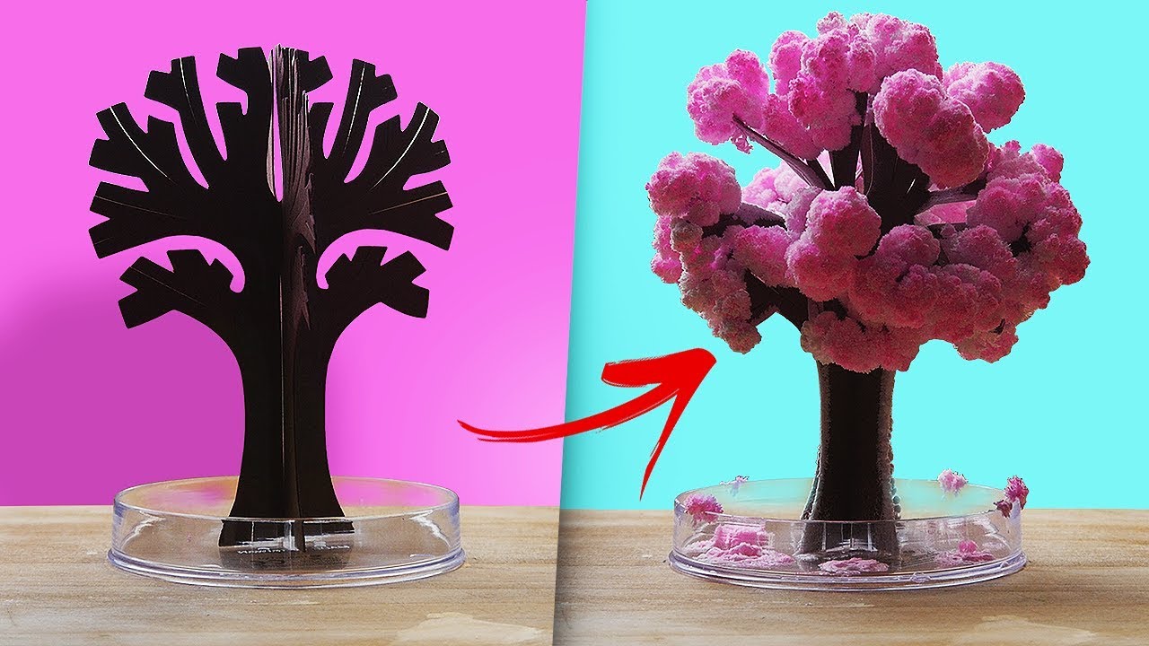 Cet arbre est vraiment magique !