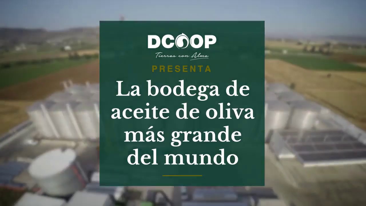 Nueva Bodega Aceite de Oliva Dcoop
