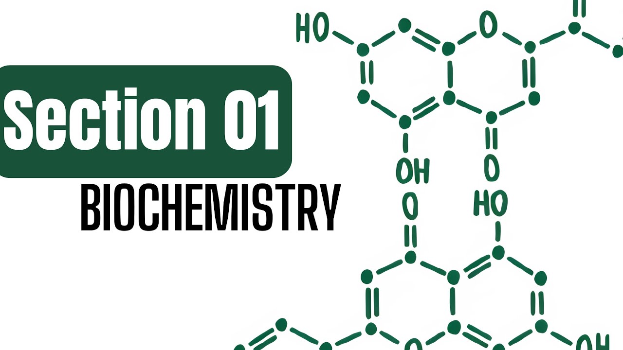 BioChemistry - Section 01 (Solubility Test & Molisch Test)
