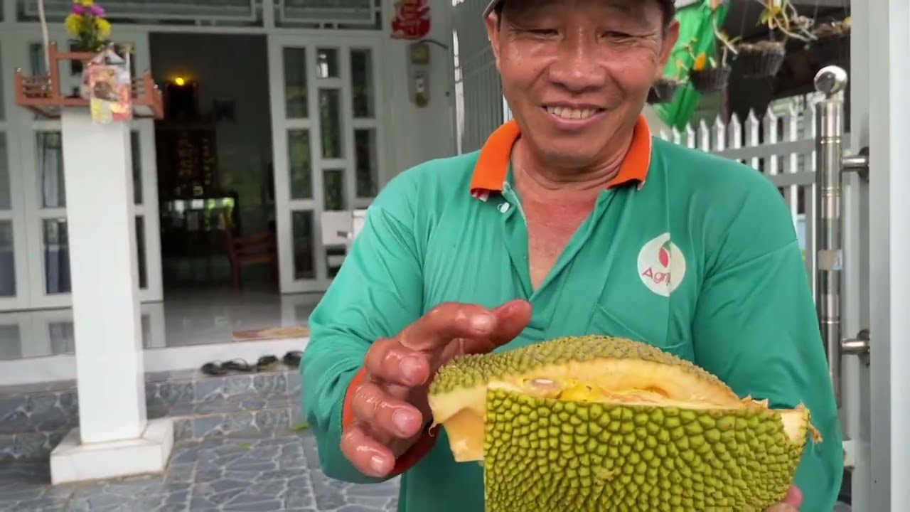 Trái Mít Sau Chín Quá Trái Sầu Riêng Ngon Ghê