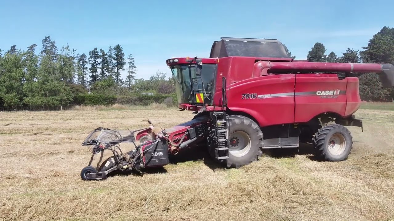 Case IH Axial Flow 7010 // NZ Grass Seed Harvest 2024