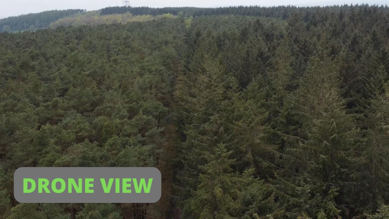 STAINBURN FOREST HARROGATE DRONE VIEW