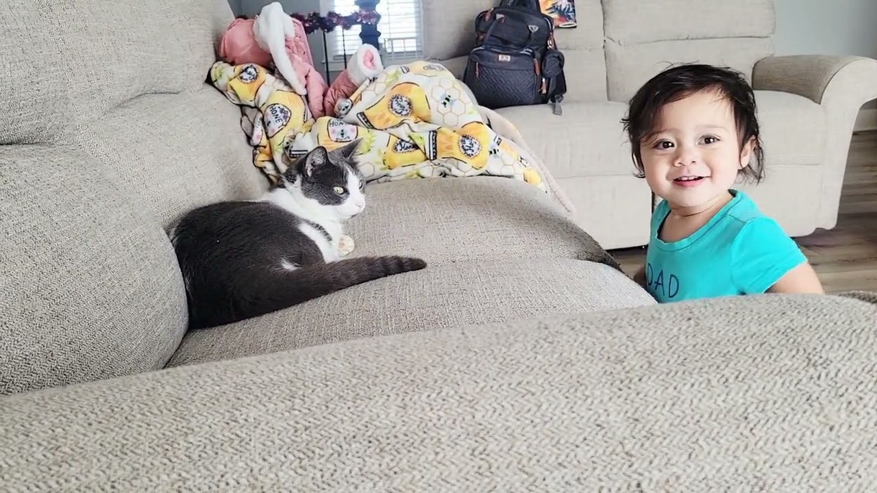 Sage likes Fishstick our cat #cutebaby #toddler 