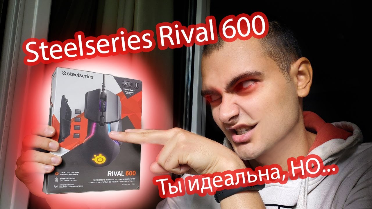 steelseries rival 600, Так ли хороша?