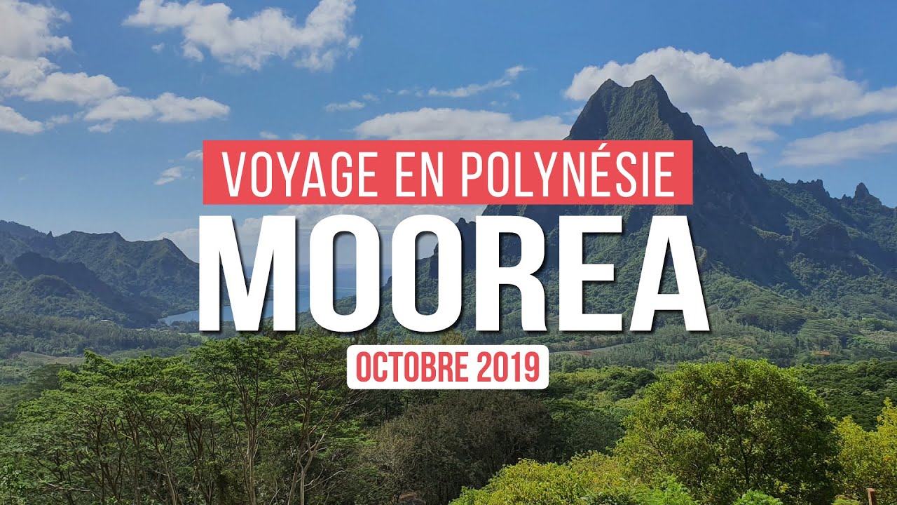 VOYAGE EN POLYNÉSIE | MOOREA L'ENSORCELEUSE  !