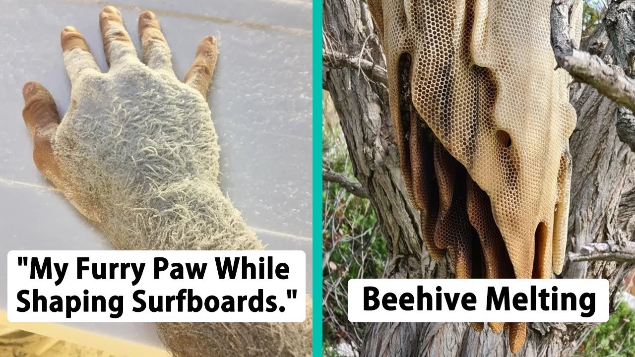 Times Nature Got An Unexpected Facelift