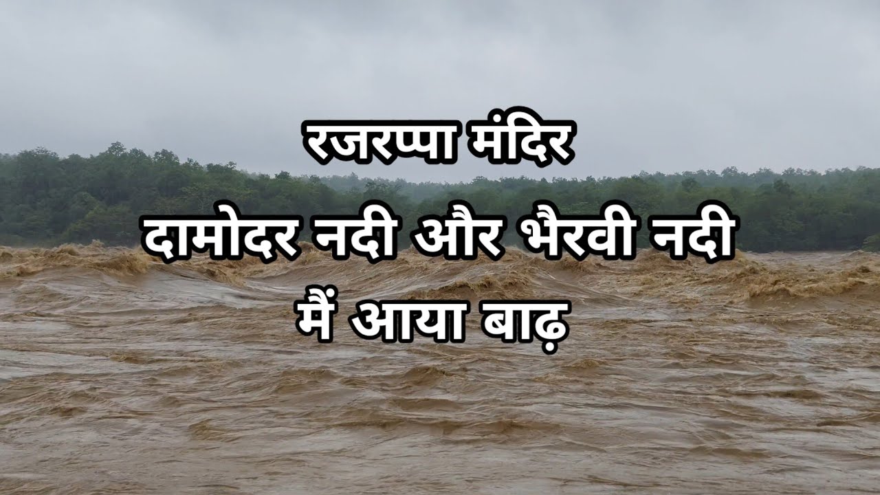 रजरप्पा मंदिर मै आई बाढ़ भैरवी नदी और दामोदर नदी में 2025 // rajrappa mandir me aai badh 2025