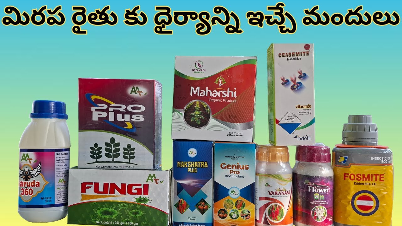 #మిరప #రైతు కు ధైర్యాన్ని ఇచ్చే #మందులు #chilli #garuda #360  #genius #nakshatra #maharshi #varanasi