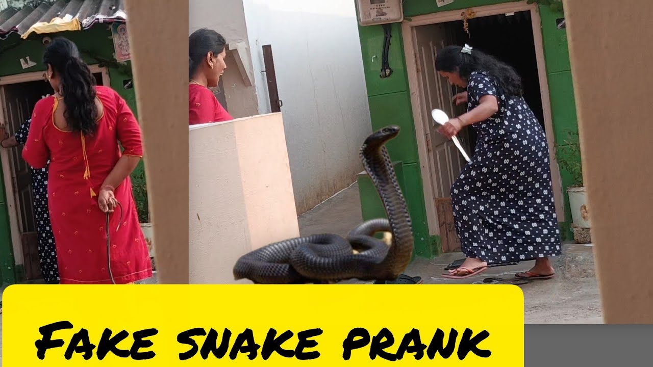 Fake snake prank | ನಕಲಿ ಹಾವಿನ ಜೊತೆ ಸಣ್ಣ ತುಂಟಾಟ | prank video