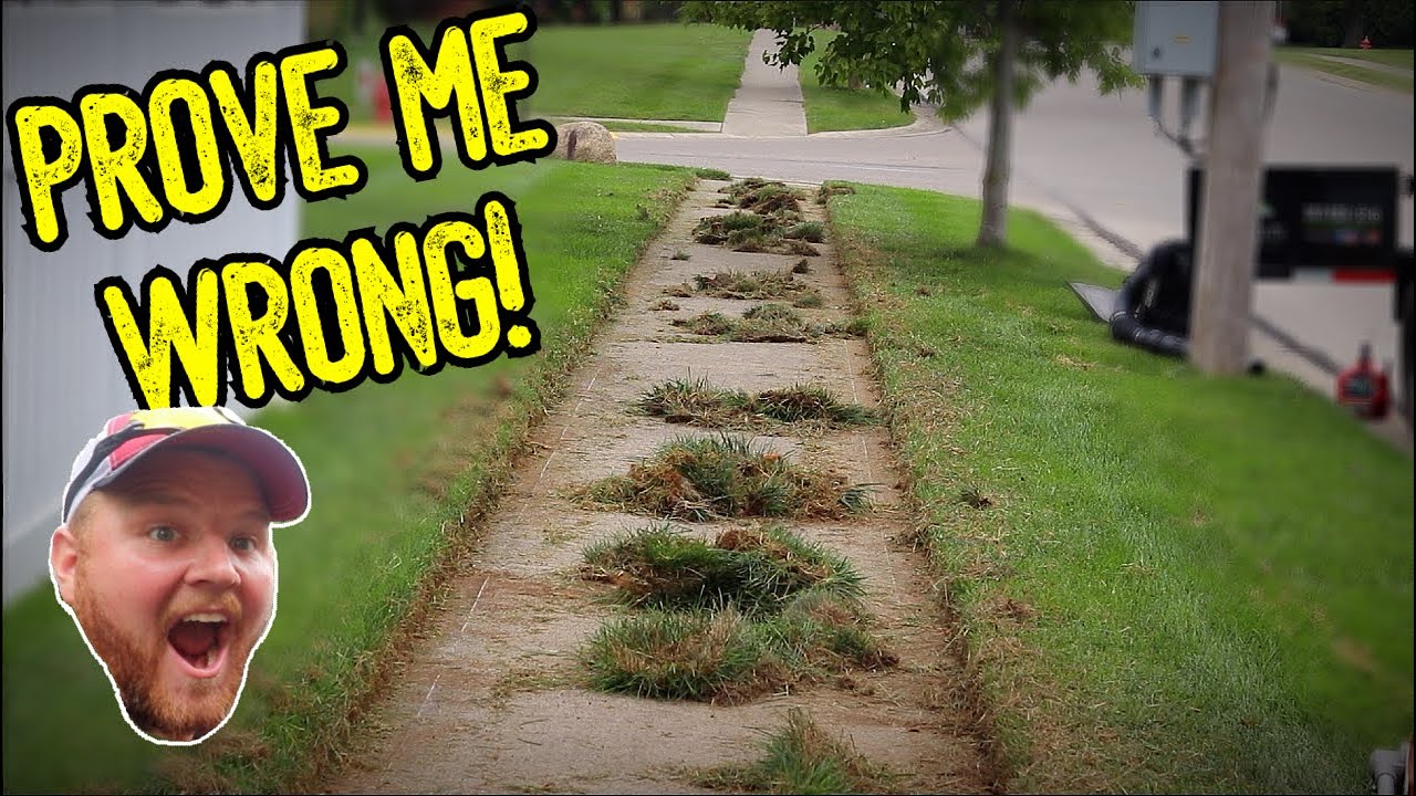 The WORST OVERGROWN Sidewalk Edging?! 8+ INCHES! (SATISFYING)