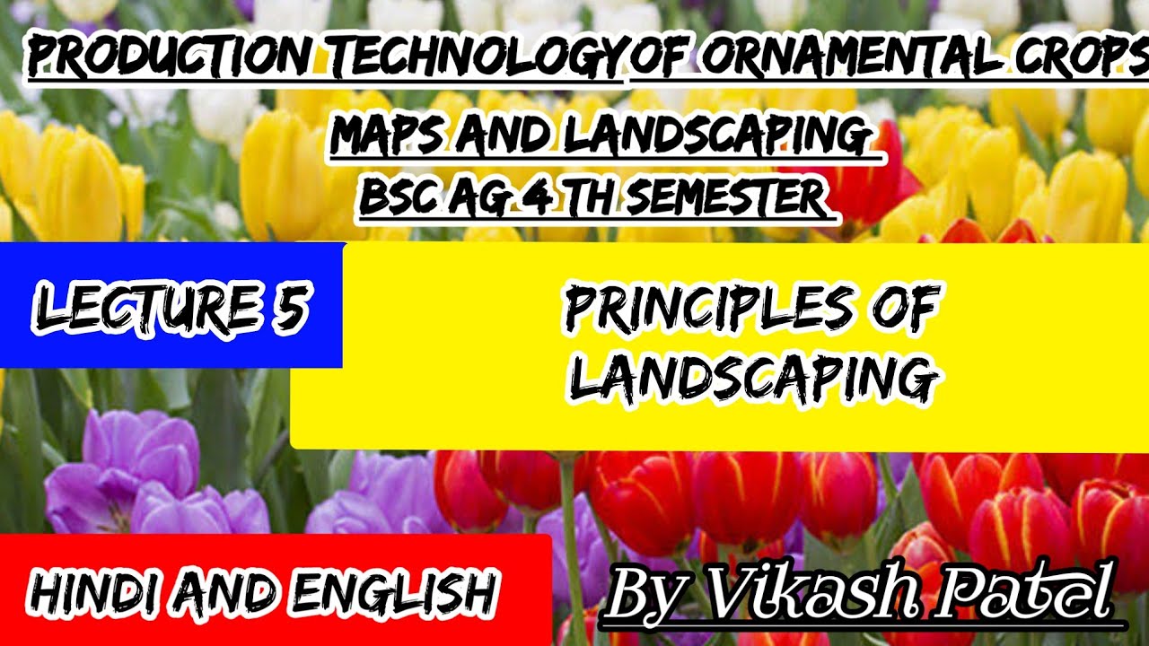 Principles of Landscaping | लैन्ड्स्कैपिंग के सिद्धान्त | Horticulture | By Vikash Patel | BSc Agri
