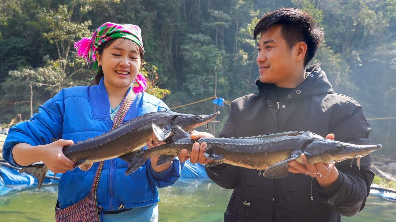 Returning Home for Tet: Ai Mi, Yen, and the Engineer Prepare Delicious Sturgeon Together