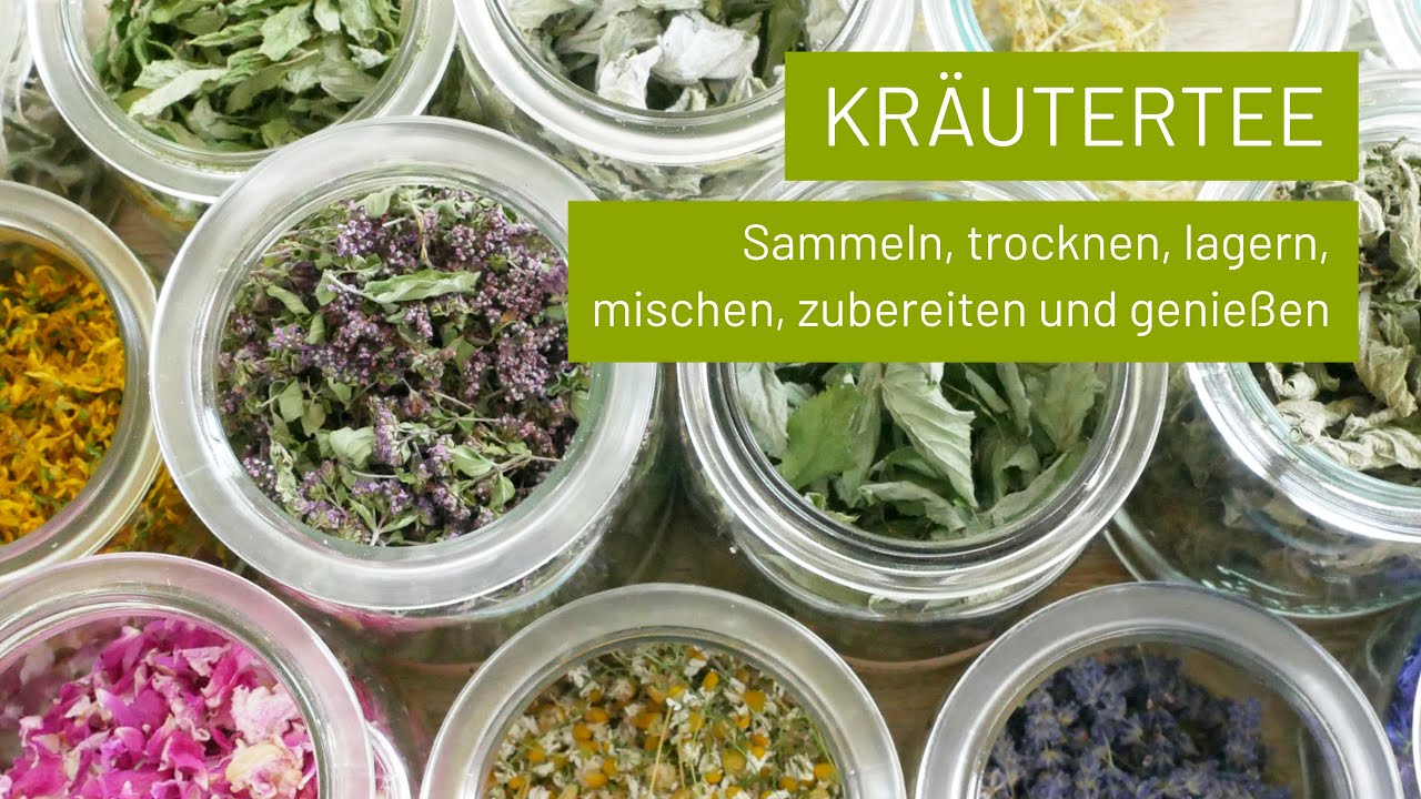 Kräutertee sammeln, trocknen, lagern, mischen und zubereiten