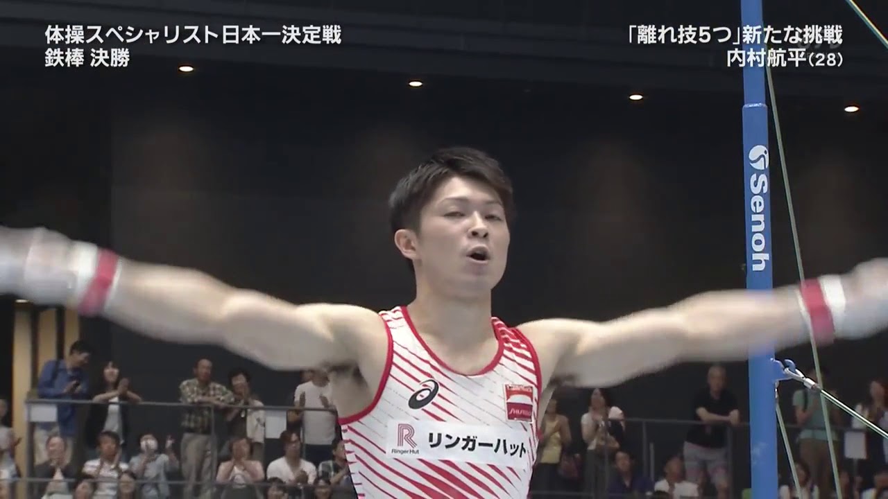 Kohei Uchimura 2017 All Japan High  Bar Final