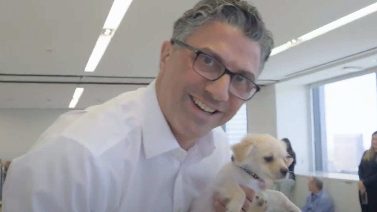 OCM: Wags & Walks (2024)