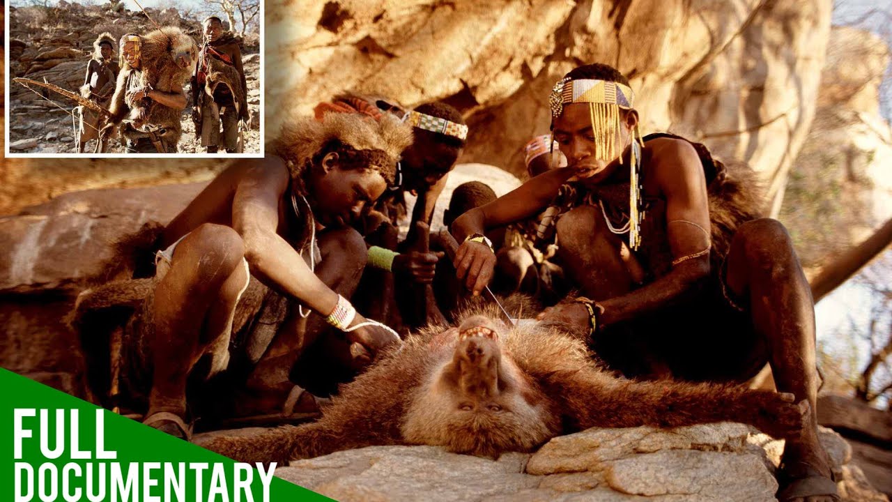 Hadzabe Tribe Successful Hunt. African Bush Life