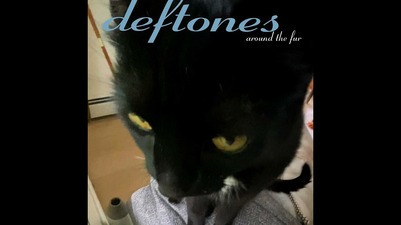 deftones - Dai the Flu Backing Track with Vocals