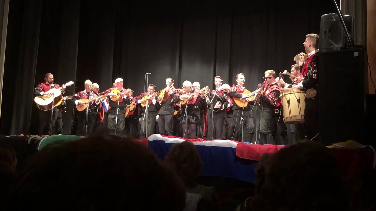 Negro José - Tuna Ciudad de Luz- Jaén 2019