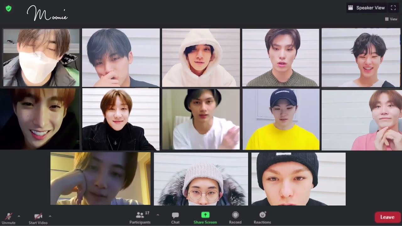 study with seventeen pt.2 | 1hour zoom study session ASMR