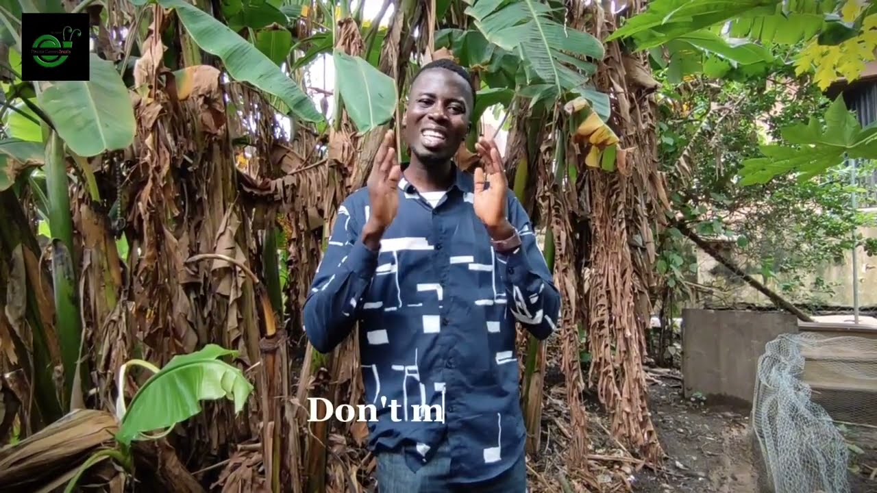 Unveiling the Profit Secrets of Snail Farming