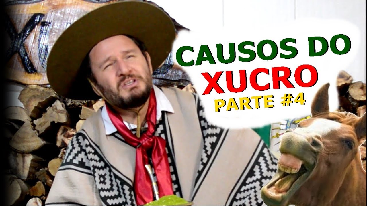 AS MELHORES PIADAS GAÚCHAS PARTE 04