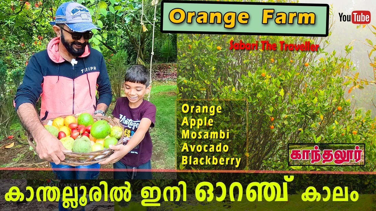 KANTHALLOOR  | ESCAPE FARM  |തിരക്കുകളിൽ നിന്ന് എസ്‌കേപ്പ് ചെയ്യാൻ ഒരിടം | KANTHALLOOR TOURISM
