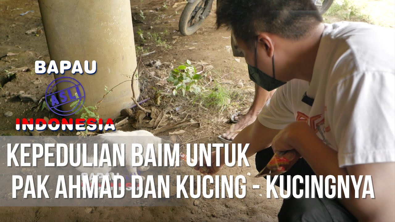 BAPAU ASLI INDONESIA - Kepedulian Baim Untuk Pak Ahmad dan Kucing - Kucingnya