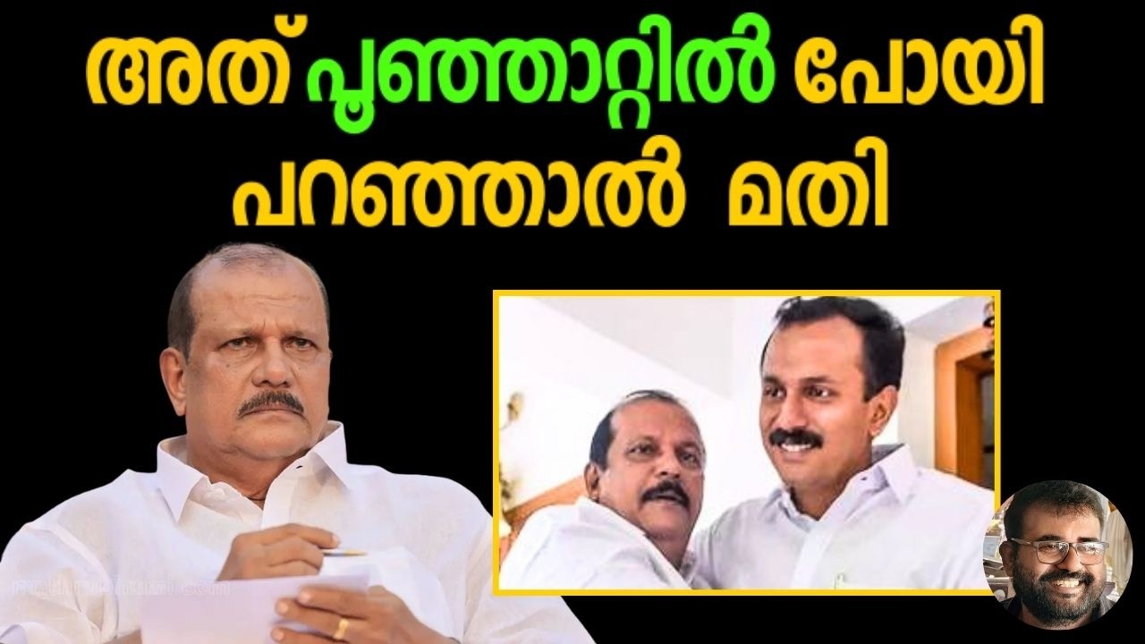 അപ്പനും മകനും പൂഞ്ഞാറ്റിൽ പോയി വിശ്രമിക്കാൻ ജനങ്ങൾ അവസരമൊരുക്കുന്നു|JoseThomas Responds |P C George