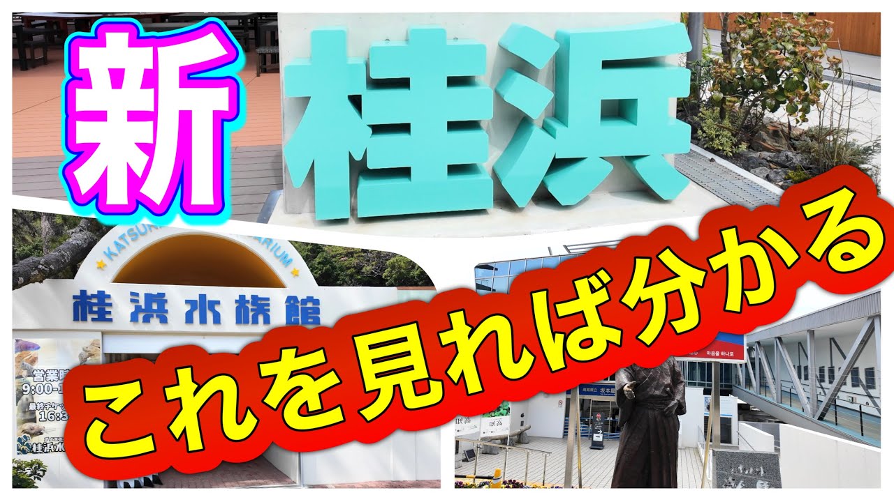 新しい桂浜を紹介します　これを見ればわかります