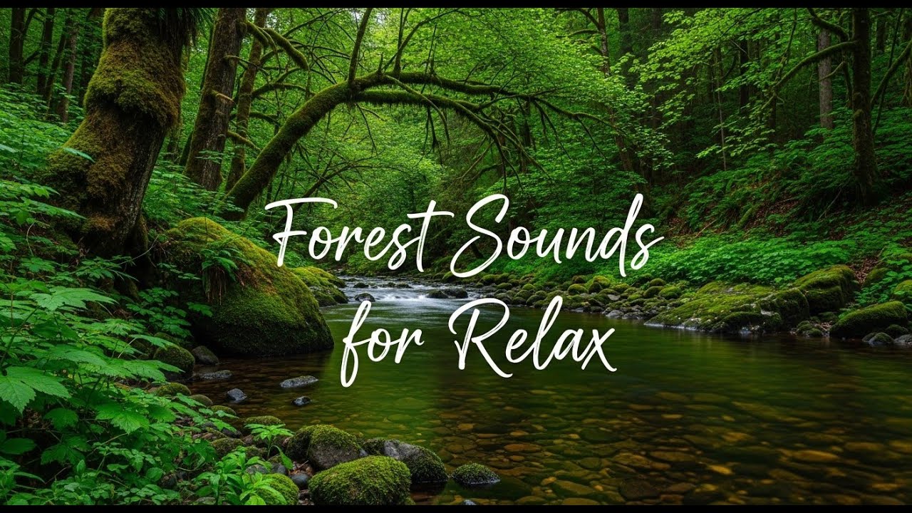 Peaceful Night River Sounds 12 Hours for Deep Sleep and Anxiety Relief 🌙
