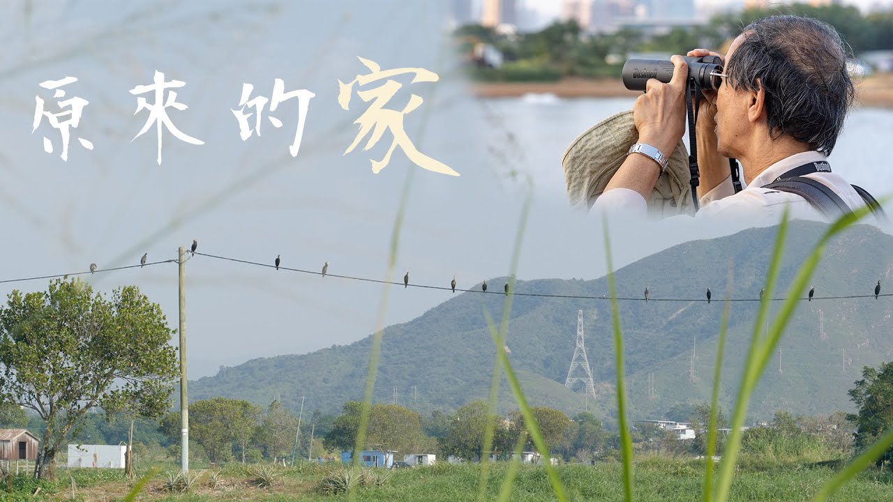 大城誌︳原來的家︳新田科技城變「魔術」　改劃國際級濕地　前天文台長林超英：嚇到傻咗、悲痛損失　昔日全世界學米埔保育　填平魚塘濕地將不能回頭