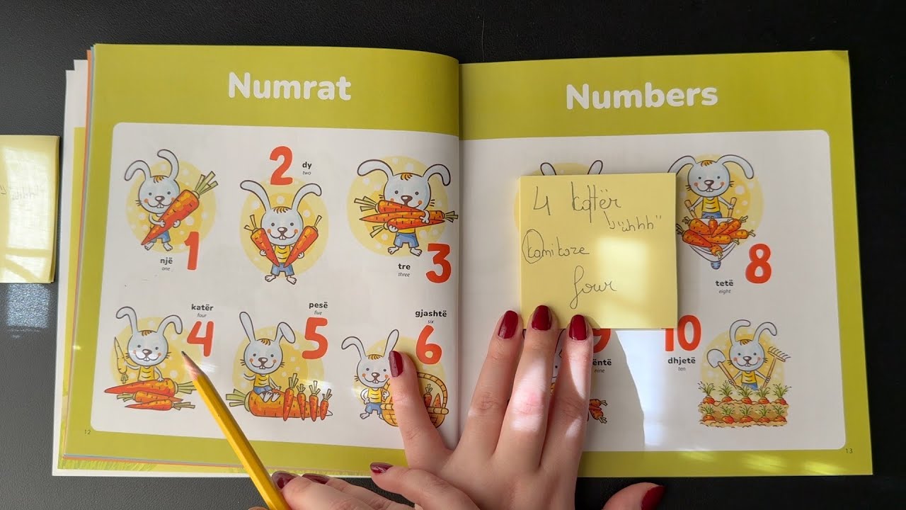 ASMR Teaching You Albanian (numbers edition) 🧮