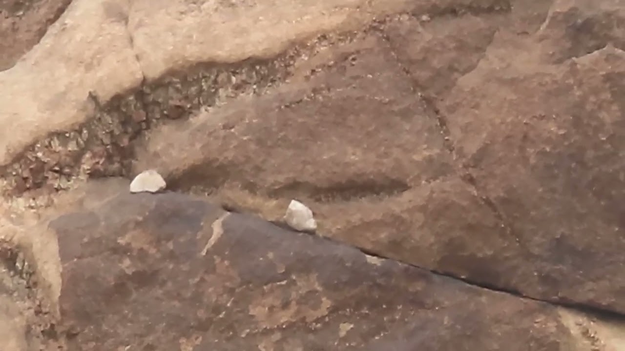 رماية معاكس الريح كركت عيار ٦.٣٥ سبطانه ٧٠٠