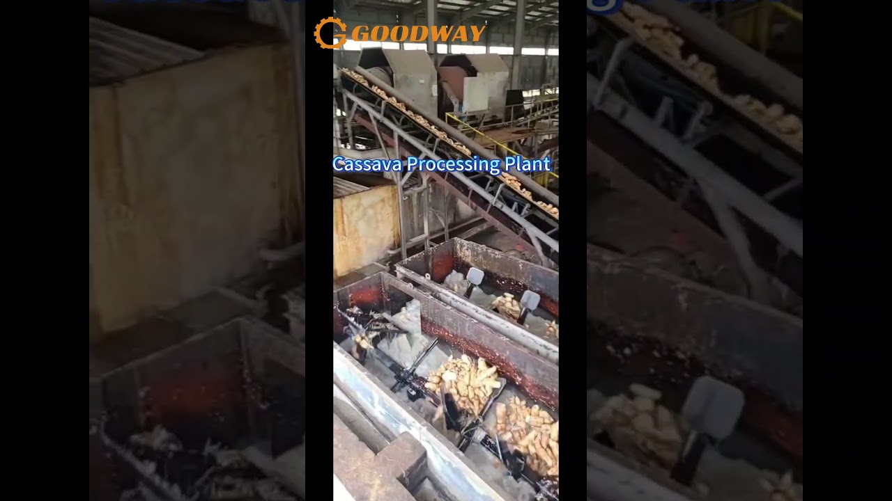 Cassava Processing Plant