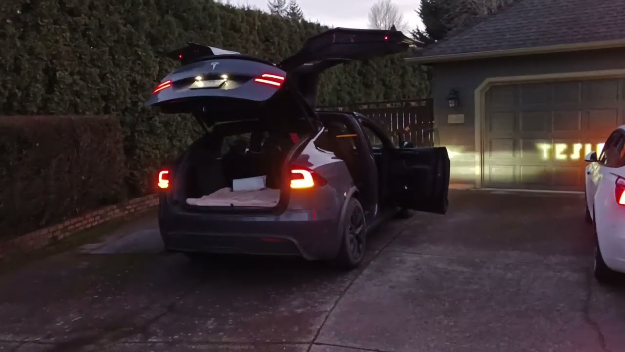 Tesla Model X and 3 Light Show New Year's 2023