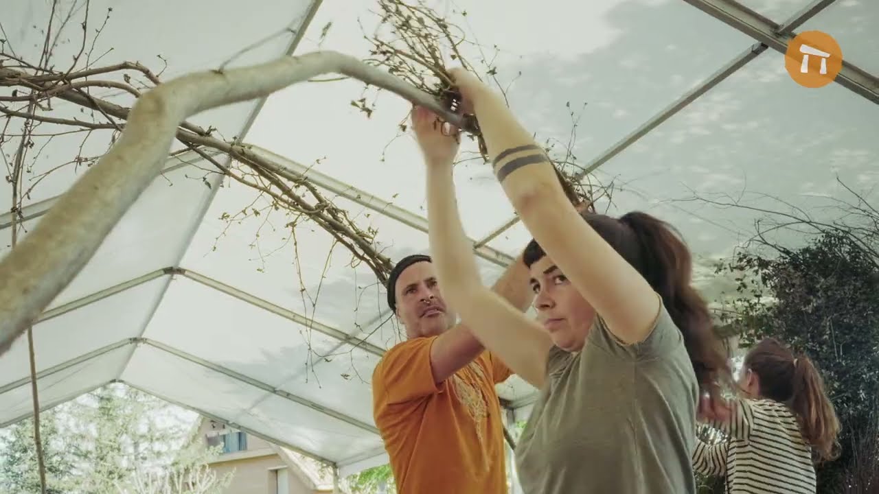 Orígens a Firhàbitat 2025 · Tallers d’oficis i entramats naturals
