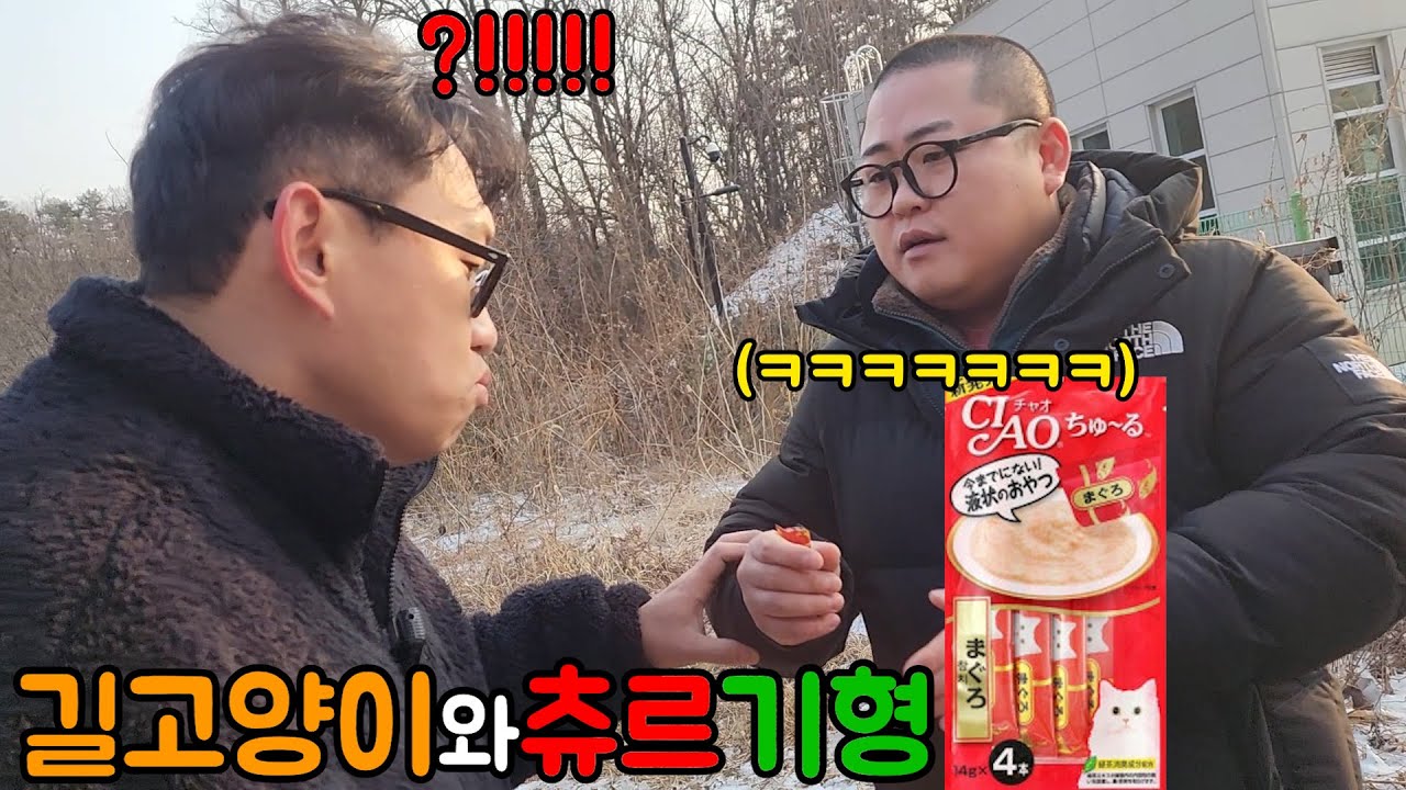 짜먹는 '두쫀쿠'인척, '츄르' 쭉 빨기