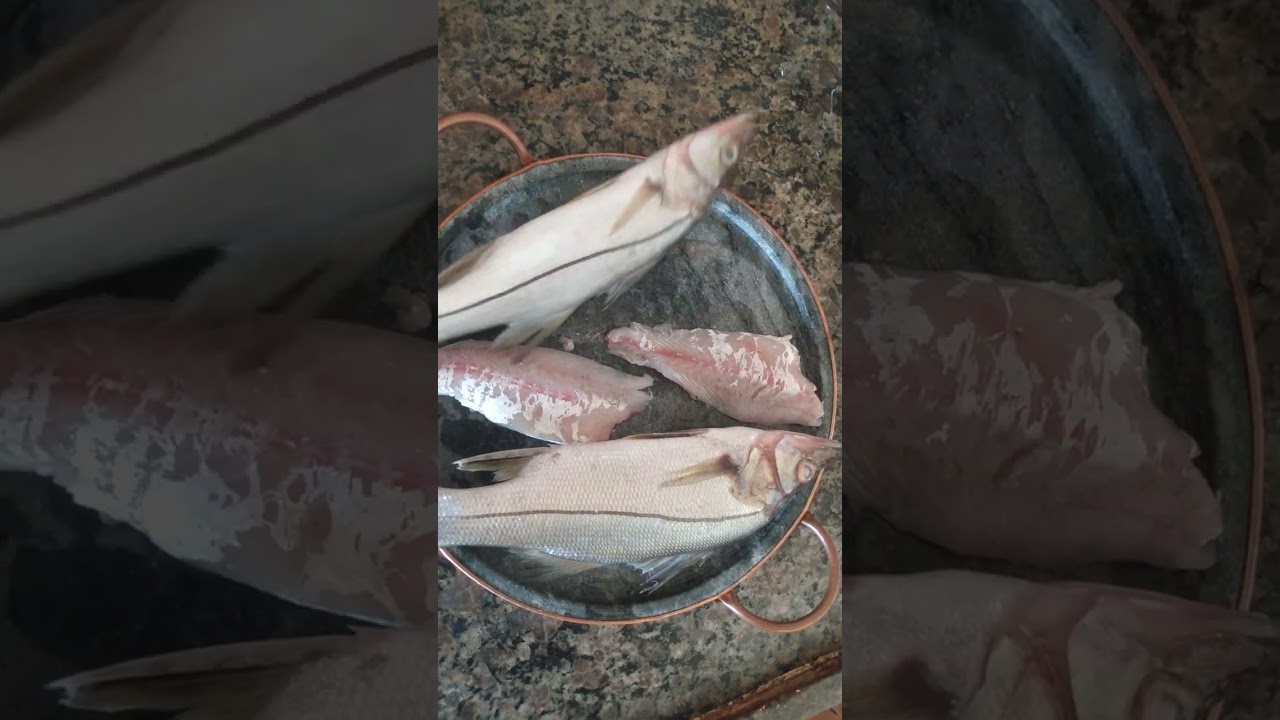 Diferen&ccedil;a de Robalo Flecha e Robalo Peva