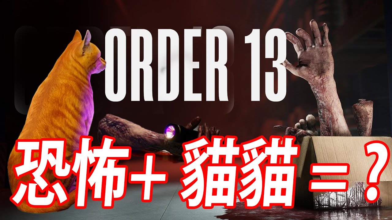 【仆直播】倉庫裡的貓咪發現恐怖靈異生物，當事人表示: 喵！【ORDER 13 】