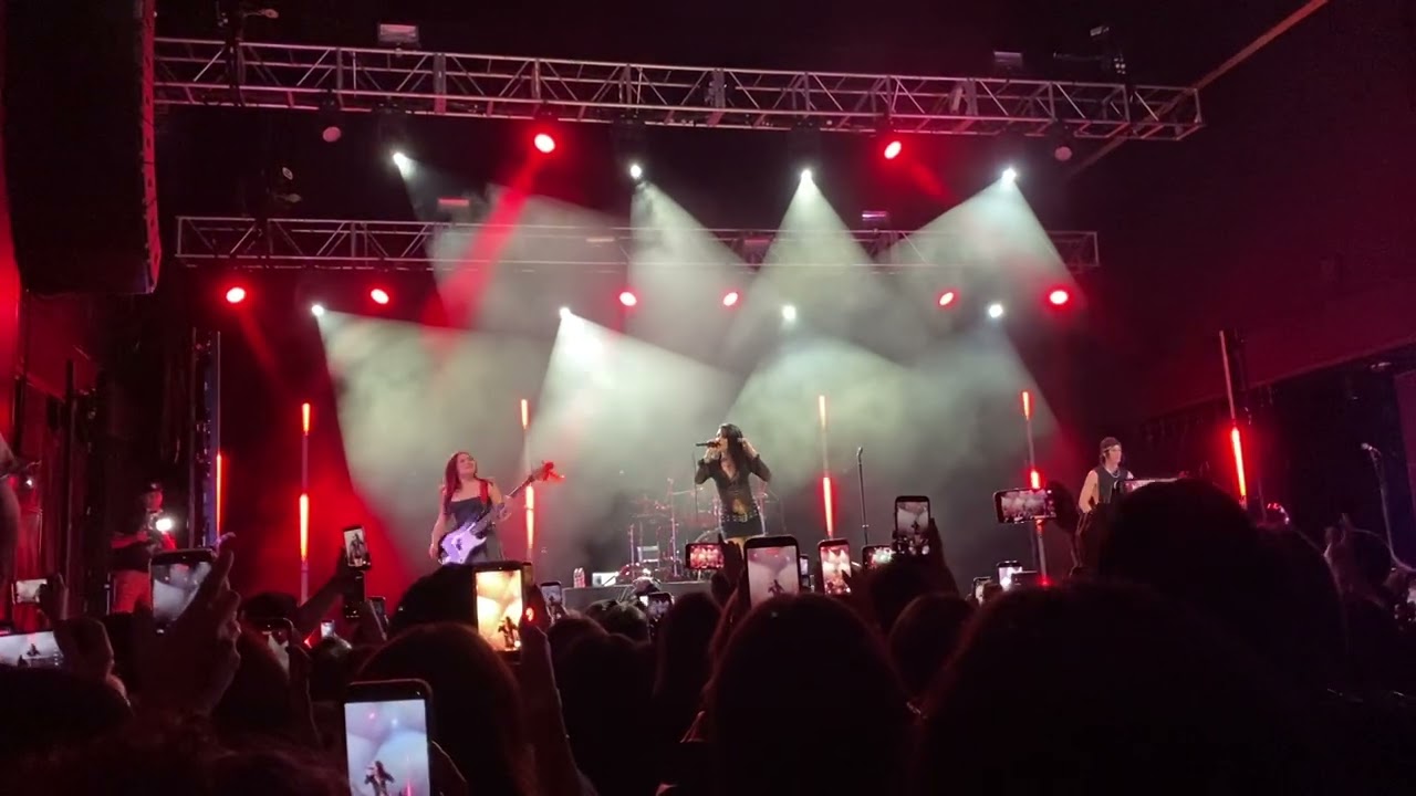 Fang by @maggielindemann! || Entire song LIVE ||